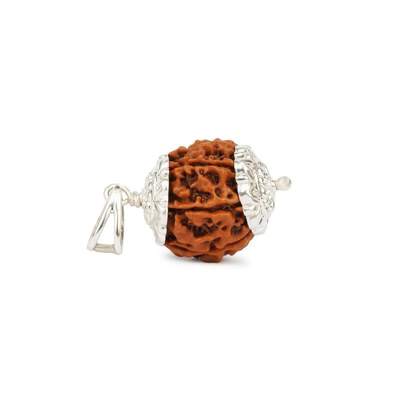 Image of GEMSMANTRA 7 Mukhi Rudraksha With Pendant in 92.5 Sterling Silver Original Nepali, Medium size, Natural and Lab Certified, Helps to Improve Wealth, Prosperity, and Success, Helps Protect from Negative Energies (Brown, Unisex)