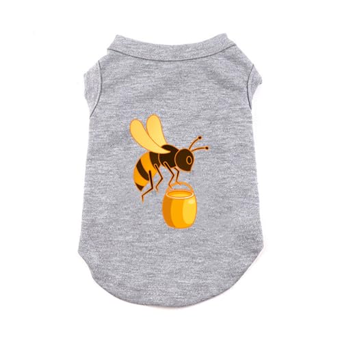 [XZVGJ] ybg ̕ tėp ^Ngbv O[ ʋC  iD ̂m  Ă~ Eѕی lGʗp [EFA  ₷ ĕ U o| L M LbgEFA