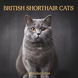 Independently published