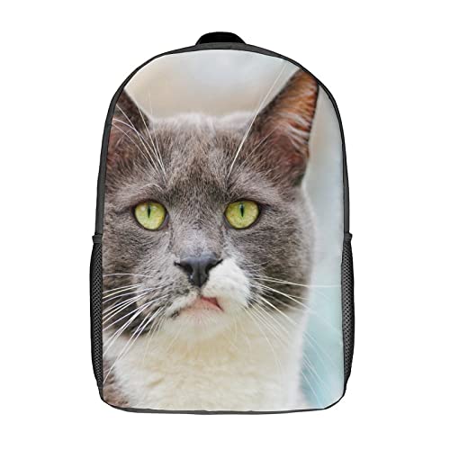 Sac à dos d'école pour enfants : fini le mal de dos avec ce 17 pouces chat