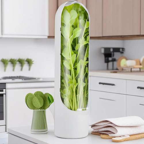 Image of FunBlast Herb Saver for Refrigerator, Fresh Herb Keeper & Storage Container, Fresh Herbs Saver for Cilantro, Parsley, Mint & More, Space-Saving Design (White)