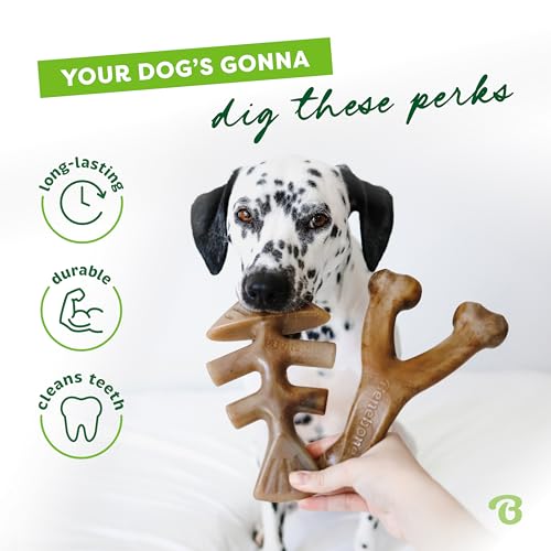 Image of Benebone 2-pack Fishbone /Wishbone Durable Dog Chew Toys, Real Fish, Real Bacon, Made in USA, Large