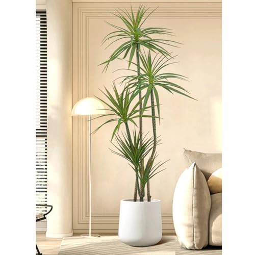 HGJH AJV tFCNO[ 160cm 傫 t lHϗtA tFCN lHϗA lHϗt Vv hZi A *~`t    sv CeA  rO  JXj Vzj z