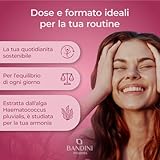 BANDINI B0D9M8VTB1 lato 2