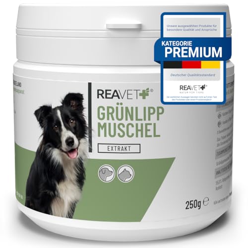 ReaVET Grünlippmuschel Extrakt Pulver 250g für Hunde & Katzen | Grünlippmuschelpulver Hund, Grünlippmuschelextrakt hochdosiert nach behandelter Arthrose, Arthritis - Barf Futterzusatz