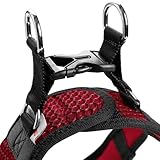 HUNTER Hundegeschirr HILO COMFORT, Farbe: orange, Easy Step-In Geschirr für kleine bis mittlere Hunde, mit Netzmaterial, reflektierende Elemente, angenehm leicht, modernes Design Größe: XS