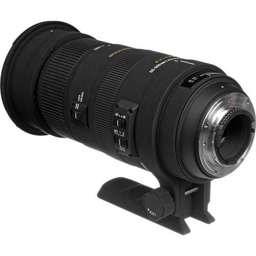 Amazon.com : Sigma 50-500mm f/4.5-6.3 APO DG OS HSM SLD - レンズ 