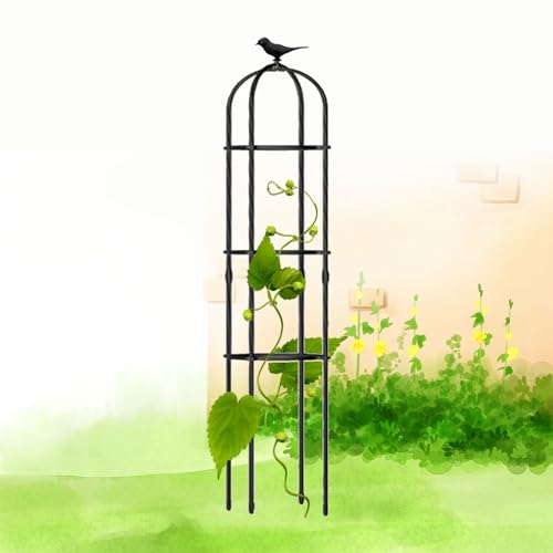 Treillis obélisque de jardin noir de 160 cm pour stabiliser les plantes grimpantes
