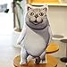HOUMEL Cojín de emoticono de gato gigante con emoticono divertido y creativo Ragdoll de peluche colorido juguete de peluche blanco y negro abrazable juguetes de regalo para niños y niñas niño 350