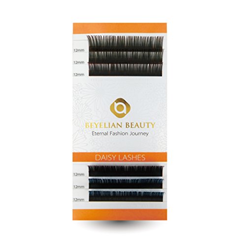 BEYELIAN DAISY Lashes Ombre Individual Eyelash Extensions Two Tone Lashes as Highligher or Full Set Application C curl 0.15mm 12mm