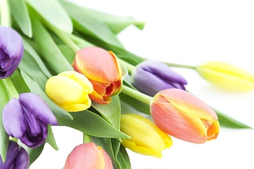 Image of KaBloom-10 Assorted Tulip Bouquet,Flowers for Valentine, Mother's Day
