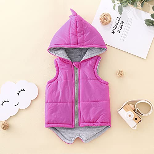 Boys Teal Winter Coat Boys Vest Kids Winter Coat Dinosaur Jacket Outerwear Girls Toddler Hooded Baby Boys Boy2