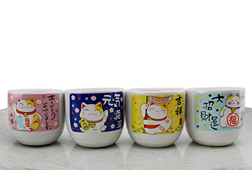 Traditional Japanese Porcelain Sake Set ~ Japanese Maneki Neko Lucky Cat 4 Cups 1 Decanter / Carafe / Sake Set / House Warming / Gift / Birthday Gift / Japanese / Wine Glass / Kitchen / Asian (F15708) #TOP2