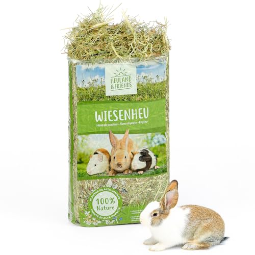 Heuland Wiesenheu 1kg für Kaninchen Meerschweinchen & Hasen naturbelassenes Premium-Heu aus artenreicher Wiese sonnengetrocknet hoher Rohfaseranteil für Verdauung & Zahnabrieb (1kg)