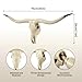 SZTGR Bison Bull Skull Wall Decor - Longhorn Sculptures Wall Plaque Art - Crafts Ornaments Bull Horns - Environmental Friendly Resin Skull Sculpture Wall Hanging Art