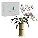 Enjbrick Flower Bouquet Building Kit Orchid Bonsai Creative Building Project for Adults,DIY Building Blocks Set Education Stem Toy 588 Pieces