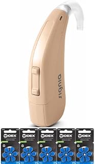 シーメンス シグニア補聴器 FUN-SP ベージュ お得な電池5パック付 高度 重度難聴 小型 簡単 目立たない