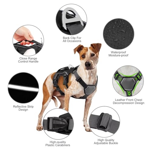Beirui HP271BL-S Escape Proof Dog Harness,Reflective Dog Harness No Pull thumb #3