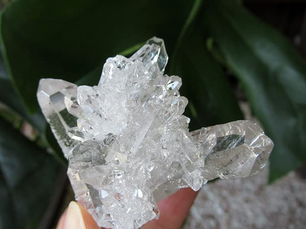 Amazon.co.jp: ブラジル ゼカデソーザ産 水晶 クラスター 原石