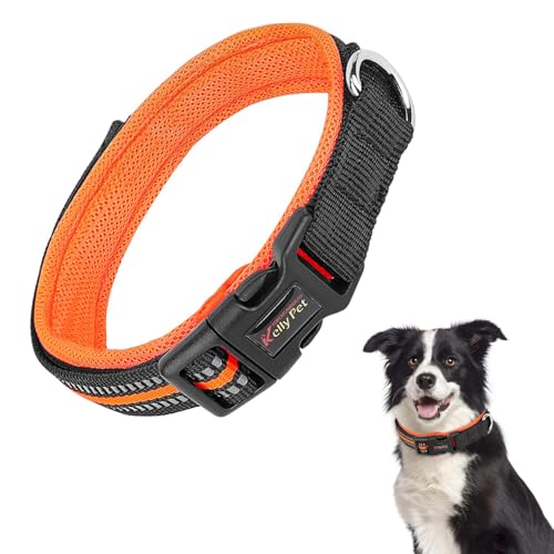 AUTOWT Reflective Dog Collar, Soft Neoprene Padded Breathable Nylon Pet Collar, Adjustable Classic Puppy Collars with Safety Locking Buckle for Small Medium Dogs Walking (Orange, M)