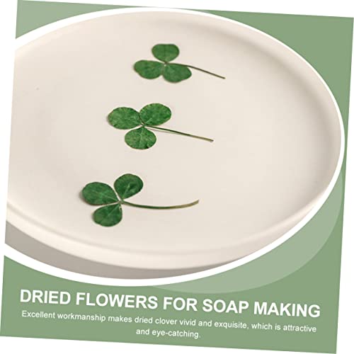 LALAFINA 72 Peças Marcador Seco Bookbaga Materiais Artesanais Resina Joias Artesanato Decoração Manu