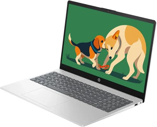 Image of HP 15.6 inch Touchscreen HD IPS Laptop, Intel i3 Processor Up to 4.39GHz, 8GB DDR4 RAM, 256GB SSD, HDMI, Super-Fast 6th Gen WiFi, Windows 11, Renewed
