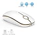 VssoPlor Type C Wireless Mouse, USB C Mouse Dual Mode 2.4G Cordless Mice with USB and Type C Receiver Compatible with PC, Laptop, MacBook and All Type C Devices-White and Gold
