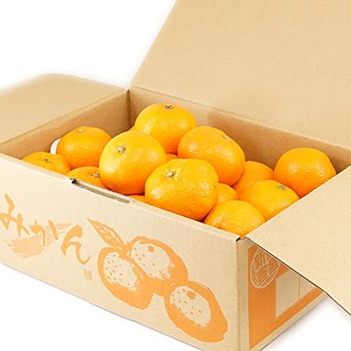 国産 温州みかん 3kg (秀品/常温品) 柑橘類 みかん ミカン 蜜柑 ギフト 贈り物 贈答 お祝い 内祝い ご家庭用 果物 フルーツ お取り寄せ