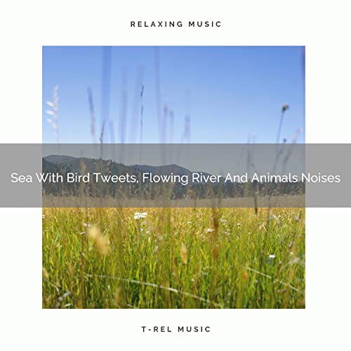 Amazon MusicでNature Music Nature SongsのSea With Bird Tweets, Flowing ...