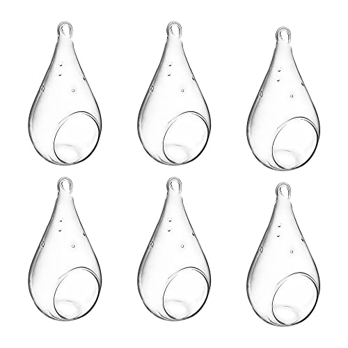 CYS EXCEL 7" Hanging Glass Teardrop Terrariums (6 PCS) |