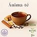Yogui Spice Tea Imagen de Yogui Spice Tea