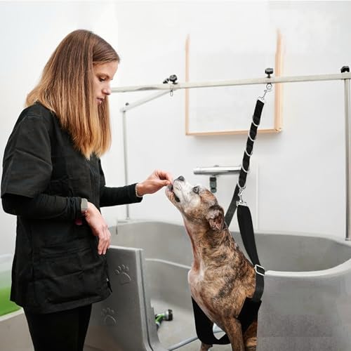 SQAQS 3PCS Haustier-Hundegeschirr, Starke Ausdauer, Hals und Haunch Halter, Fellpflege, verstellbares Tischseil mit D-Ringen, Gurt, Waschen Hundepflege Tub Zurückhaltung, Hund Bade Seil fü(schwarz)