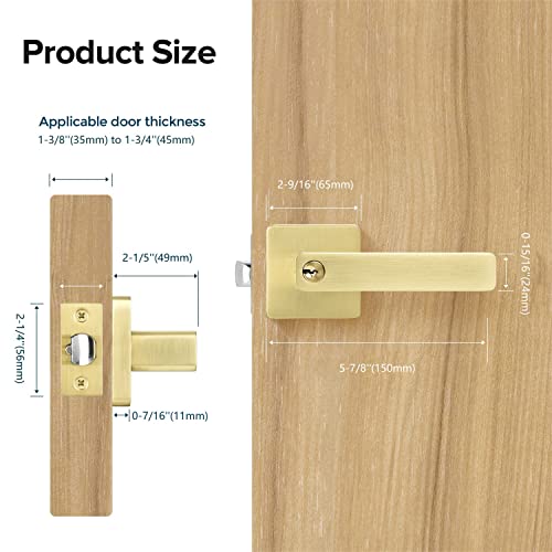 Leydebong 3 Pack Gold Door Handles, Entry Door Levers With Keys Heavy Duty Door Lock Modern Contemporary Design For Home Bedroom Or Bathroom Interior Or Front Exterior Doors #TOP3