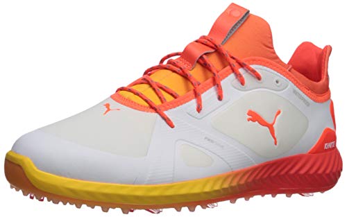 قیمت و خرید کفش مردانه PUMA Ignite 