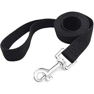 4FT5FT6FT-Strong-Dog-Leash-Nylon-Dog-Leashes-for-Small-Medium-Large-Dogs-Black-1-in-x-10-ft - Cucciolini Doodles   4FT5FT6FT-Strong-Dog-Leash-Nylon-Dog-Leashes-for-Small-Medium-Large-Dogs-Black-1-in-x-10-ft
