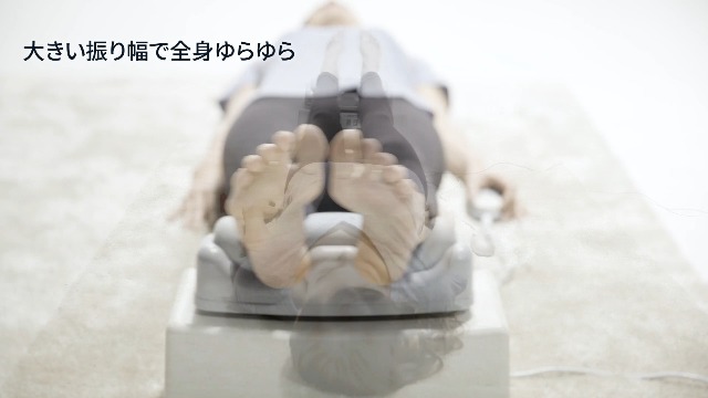 Amazon | 【理学療法士監修】Daiwa Felicity 金魚運動マシーン