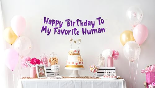 Image of Pre-Strung Happy Birthday To My Favorite Human - Funny Birthday Purple Glitter Banner - Funny Birthday Decorations for Men and Women - Party Supplies and Gifts