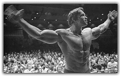 A[mhVcFlbK[{fB[r`x[VA[g|X^[vgtBbglXCXs[V摜Ƃ̑ɍœKȃMtg-60x90cmt[Ȃ