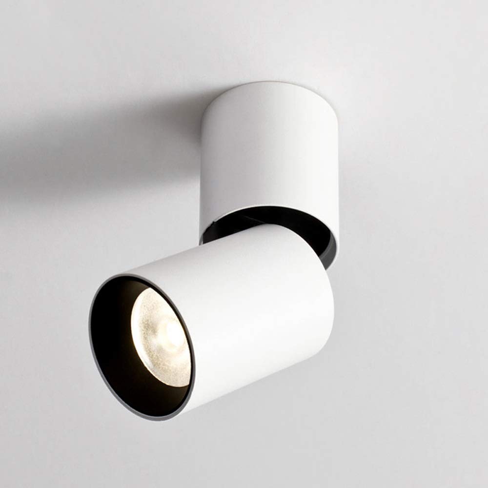 Spotlight Modern Wall Mounted Ceiling Skylights Led Ceiling Spotlights Ceiling Mounted Small Spotlights 7W 10W Downlights Home Corridor Porch Lights Commercial Wall Spotlights