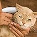 Paw Science Dog Ear Cleaner Wipes – Finger Wipes for Dogs & Cats – Cleaning, Soothing, & Deodorizing Itchy Ears – Pet Ear Relief Solution (Coconut)
