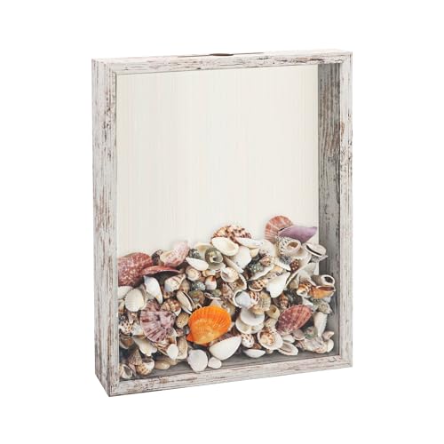 FramePro Shadow Box Seashell Collection White 11x14 Top Loading Display Case Frame with Slot Movie Travel Sporting Events Concert Ticket Stubs Drink Beer Caps Memory Keepsake Box