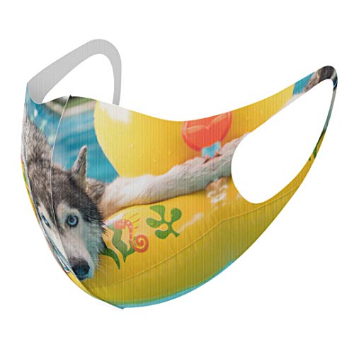 [X}R] fUC }XN QZbg |GXe 􂦂 z}XN XLTCY 傫 jp 014842  VxAnXL[ Ђ悱 v[