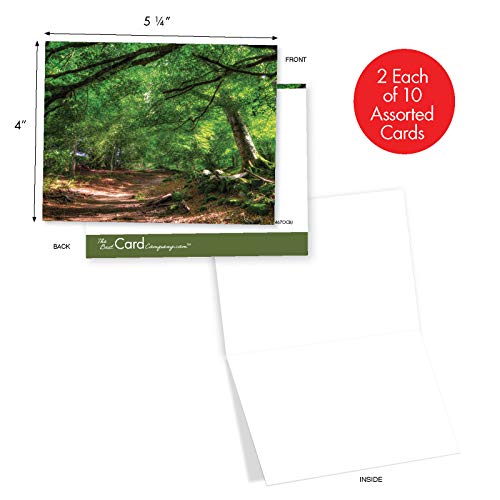 The Best Card Company - 20 Landscape Nature Note Cards Blank (4 X 5.12 Inch) (10 Designs, 2 Each) - Nature Trails Am6467Ocb-B2X10 #TOP1