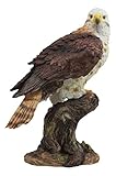 Ebros Realistic Wildlife Yellow Tailed Hawk Perching On Tree Stump Statue Birds of Prey Decorative Figurine 10