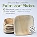Dtocs Palm Leaf Plates 4" Square (50) - Single Serve Small Bamboo Plates Disposable Look | Cocktail, Canape Mini Appetizer Plate | Alternate to Plastic, Wooden Paper Plate 6