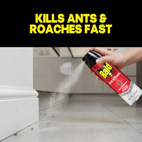 Image of Raid Ant & Roach Killer 26, Fragrance Free Bug Killer for Home Use, Kills Bugs on Contact, Roach and Ant Spray, 17.5 Oz, 2 Count