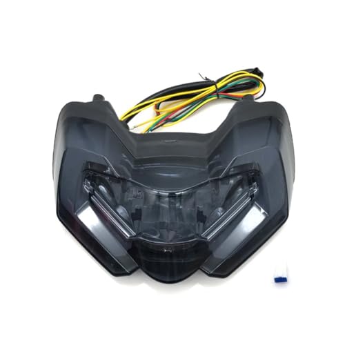 Feu arrière de moto clignotants et lampe de freinage pour Ducati Multistrada 950 1100 V4