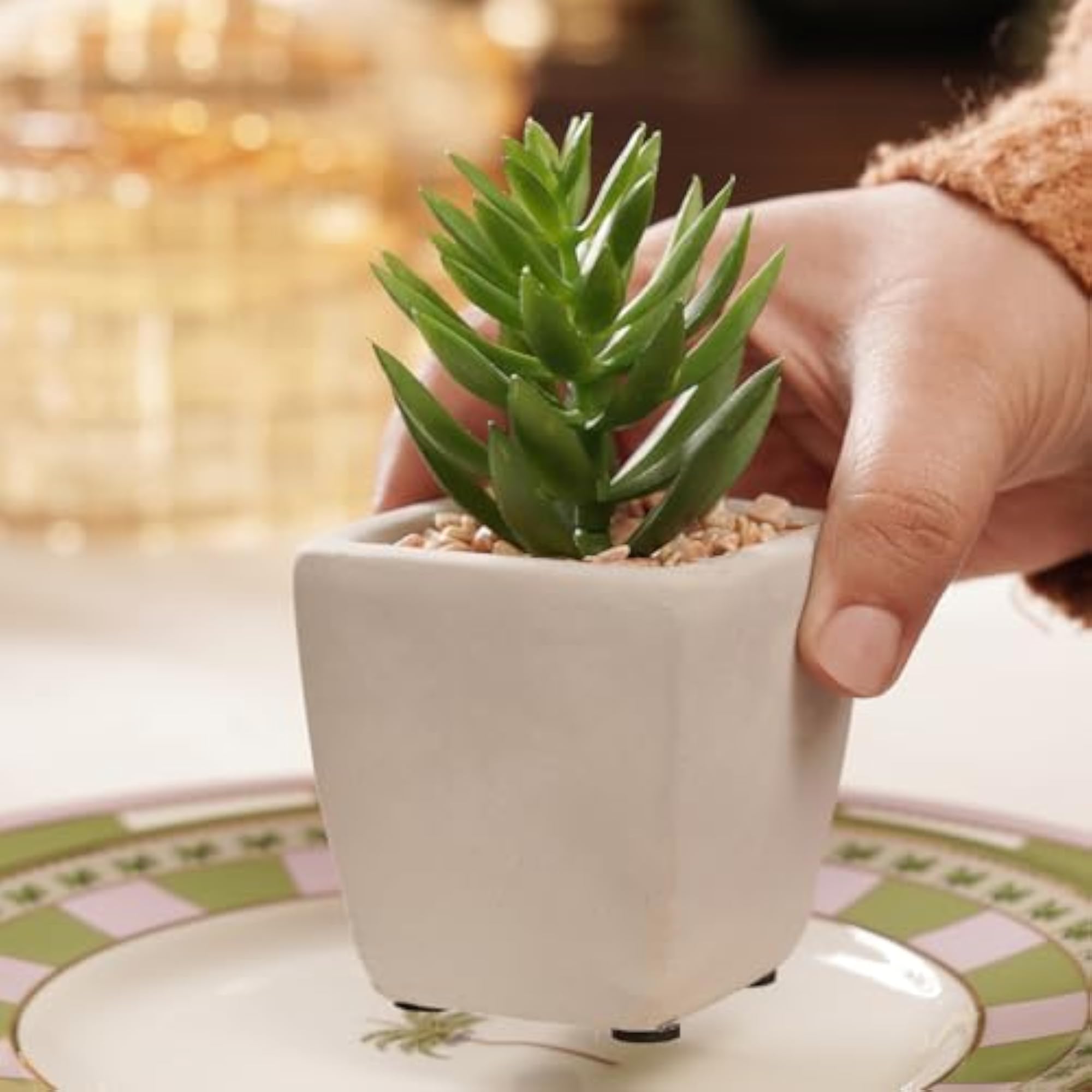 Green Potted Artificial Cactus for Tabletop Decoration