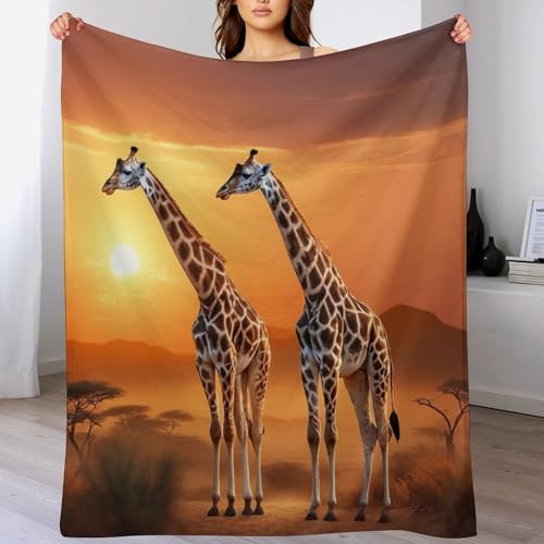 Couvertures en Girafe : Offrez un Cocon Douillet et Super Moelleux à Vos Proches