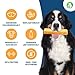 Dilecti Natürliche Käse Kauknochen für Hunde - Sehr Schmackhafte, Harte und Haltbare Natürliche Kauknochen Werden Ihren Hund für Eine Weile Beschäftigen. (Größe L, 5er-Pack)